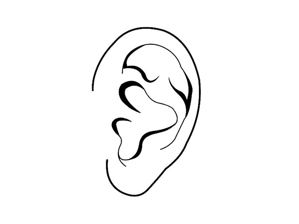 Ear piercings