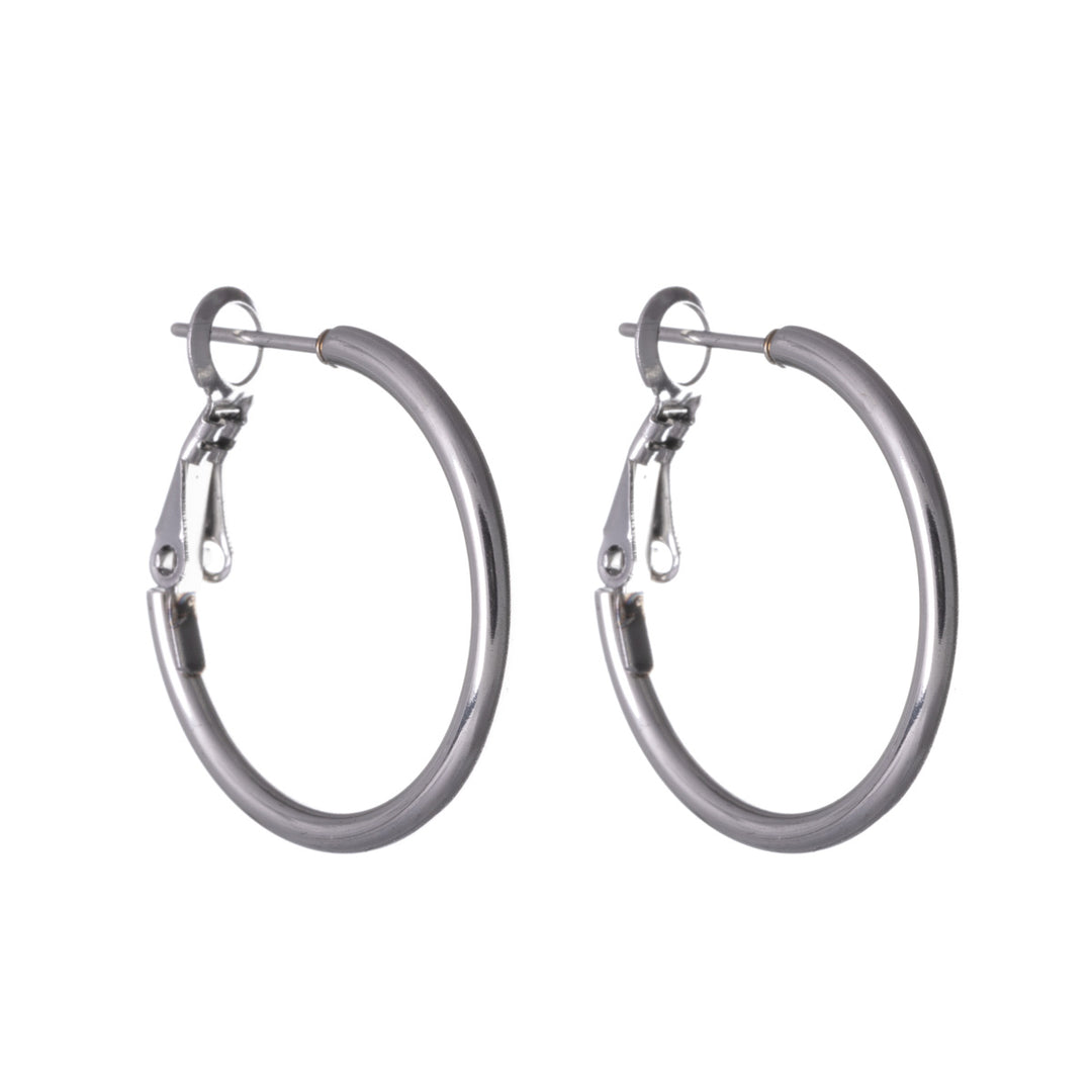 Steel earrings 2cm 2mm