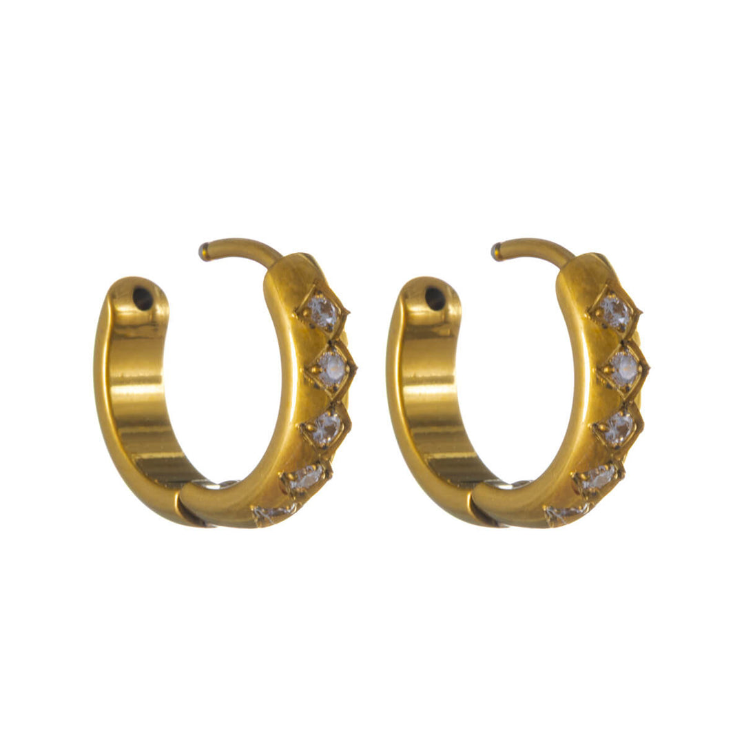 Titanium Zirconia Ear Rings 10mm – G23