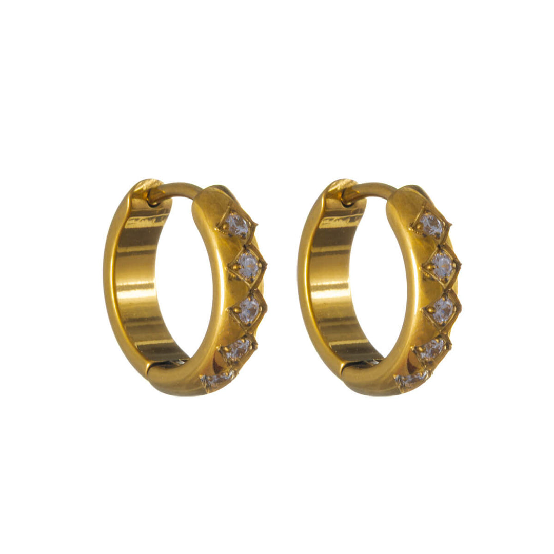 Titanium Zirconia Ear Rings 10mm – G23