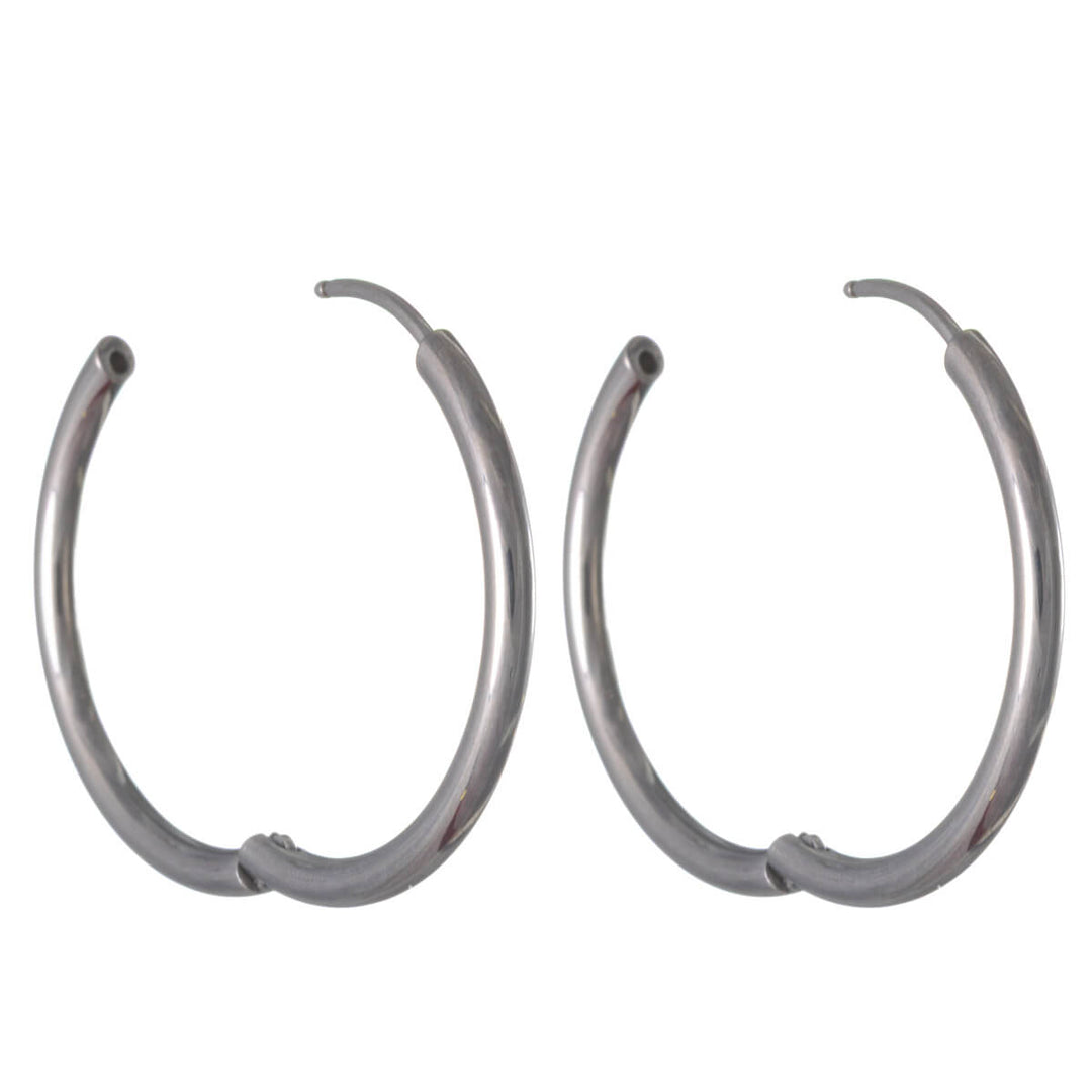 Titanium Earrings 2cm – G23