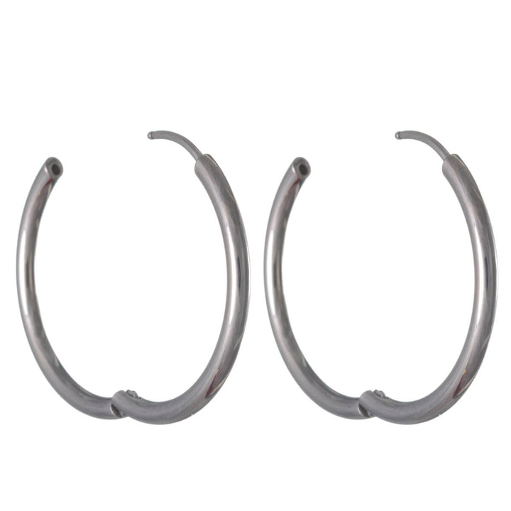 Titanium Earrings 2cm – G23