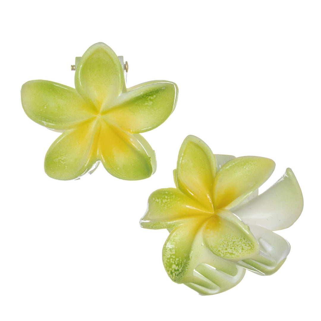 Tropical flower hair clip plumeria shark tooth 4cm 2pcs