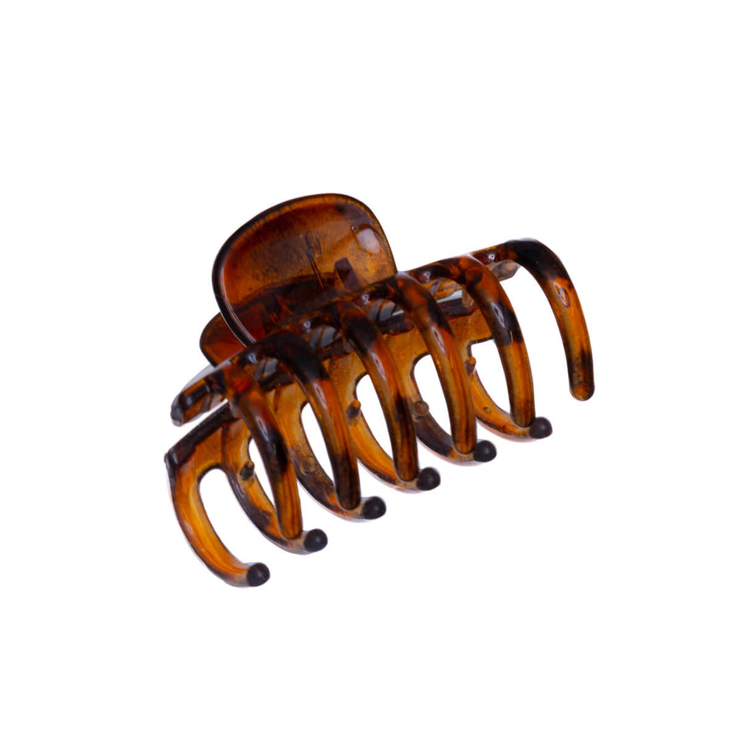 Small curved shark tooth 4,5cm