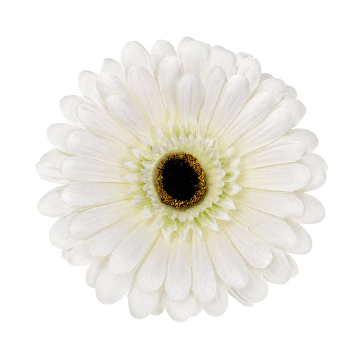 Gerbera hair and costume flower