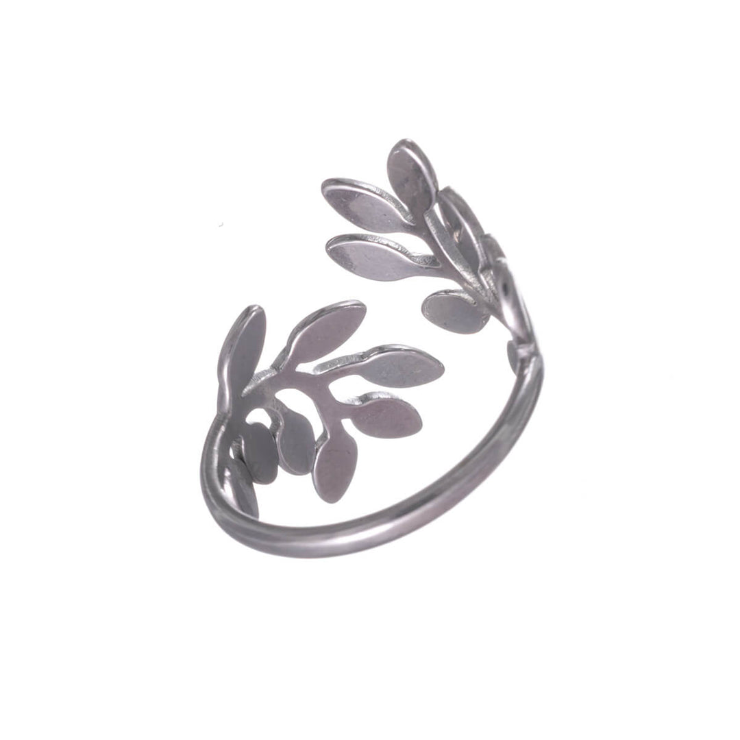 Adjustable chain ring – wide steel ring