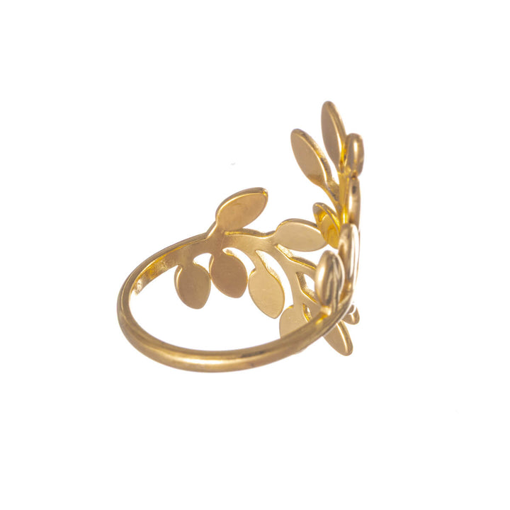 Adjustable chain ring – wide steel ring