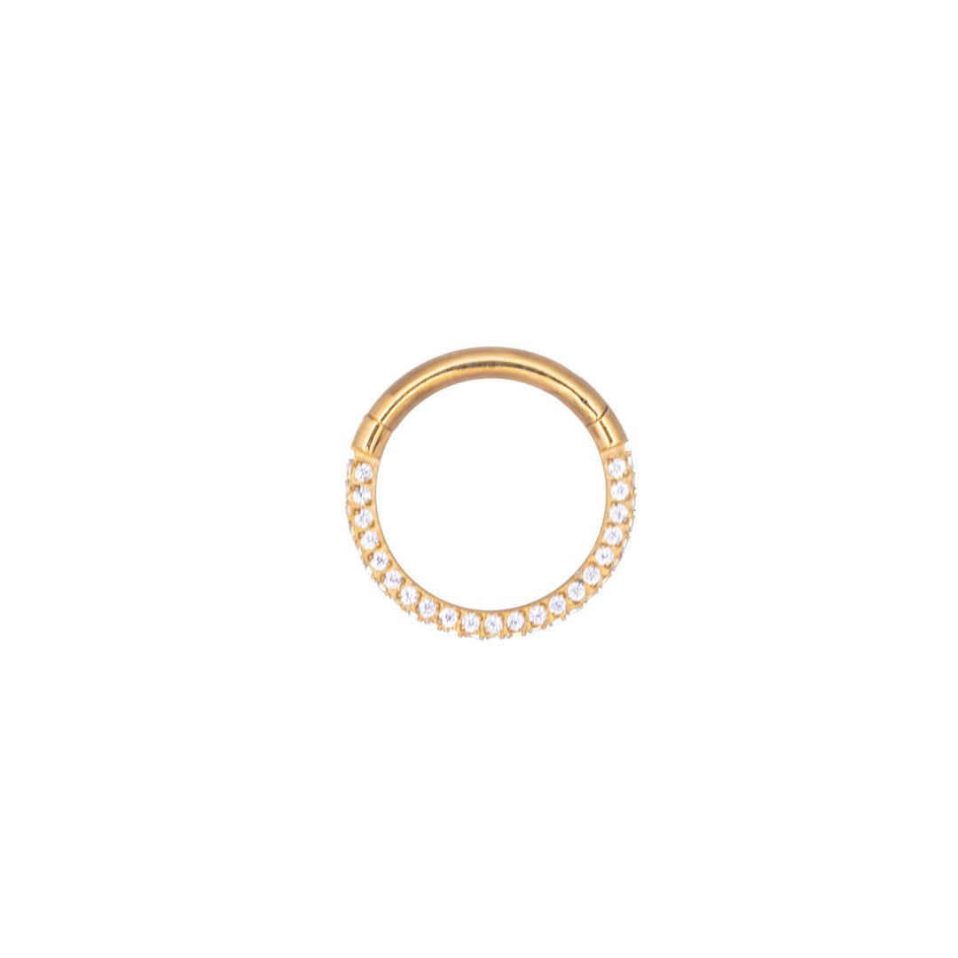 Gold plated zirconia stoned segment ring 1.2mm (PVD Titanium G23)