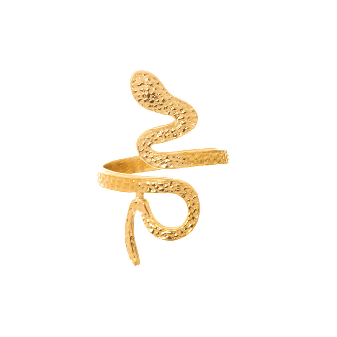 Snake ring single size steel ring (Steel 316L)